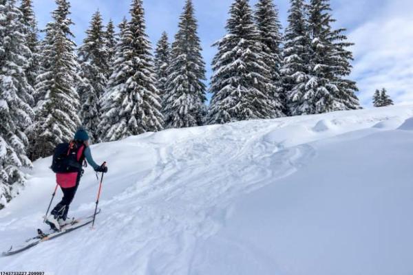 吉林省冰雪体育项目的培训机构推荐