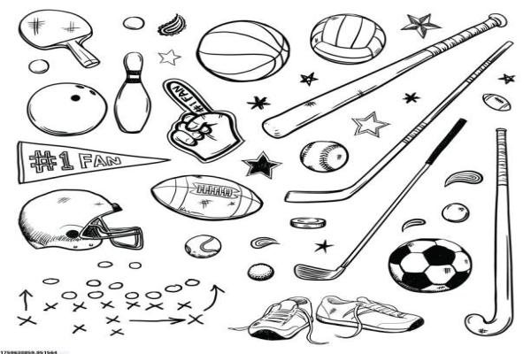 2025年将走红的冷门体育项目